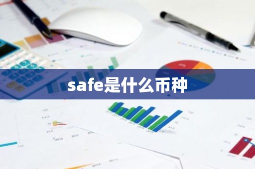 safe是什么币种