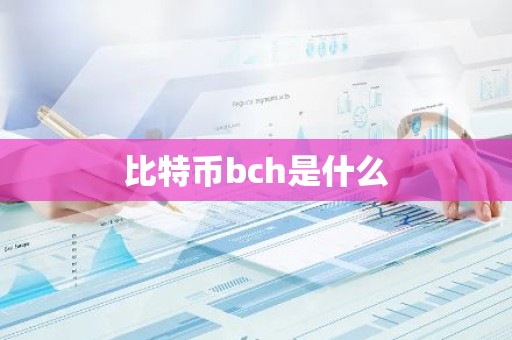 比特币bch是什么