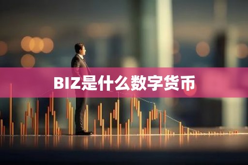 BIZ是什么数字货币