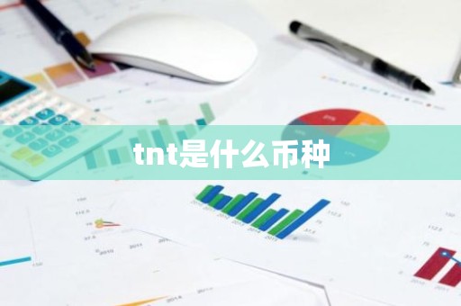 tnt是什么币种
