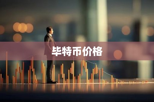 毕特币价格