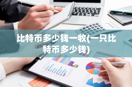 比特币多少钱一牧(一只比特币多少钱)
