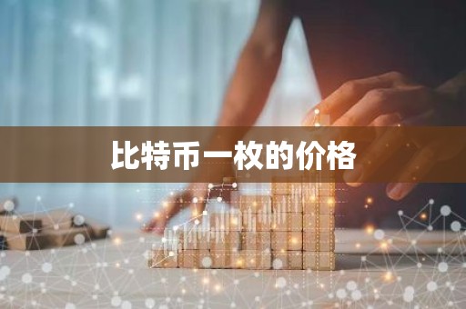比特币一枚的价格
