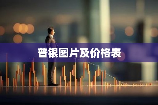 普银图片及价格表