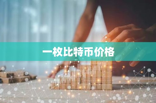 一枚比特币价格