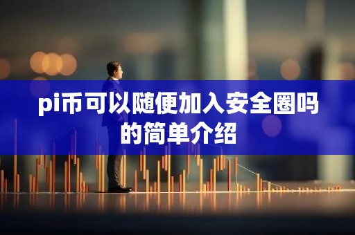 pi币可以随便加入安全圈吗的简单介绍