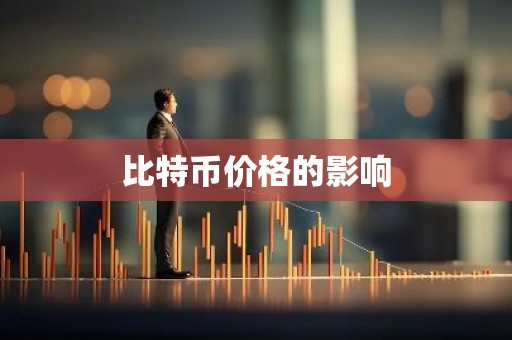 比特币价格的影响