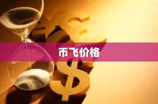 币飞价格