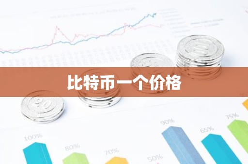 比特币一个价格