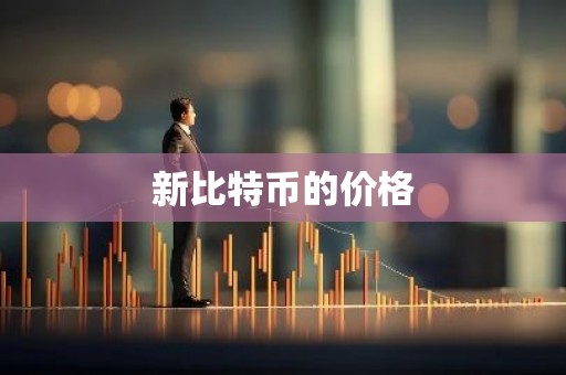 新比特币的价格