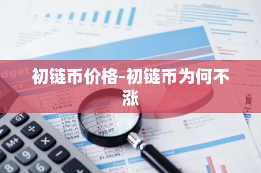 初链币价格-初链币为何不涨