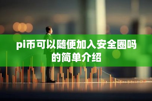 pi币可以随便加入安全圈吗的简单介绍