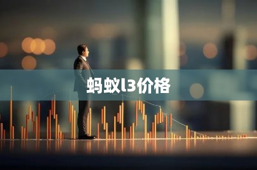 蚂蚁l3价格