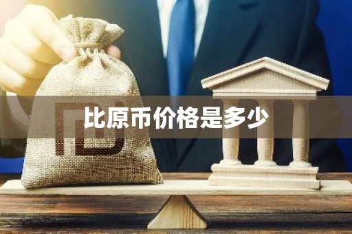 比原币价格是多少