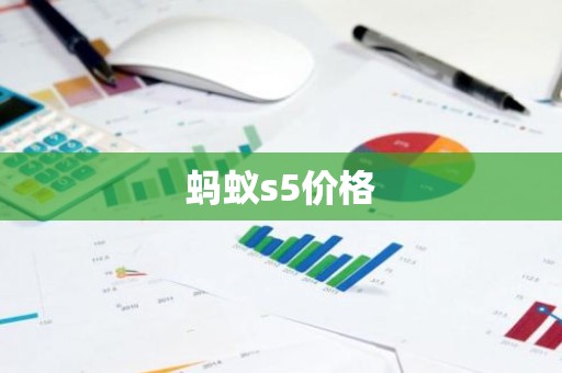 蚂蚁s5价格