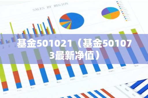 基金501021（基金501073最新净值）