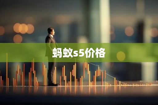 蚂蚁s5价格
