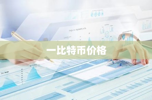 一比特币价格