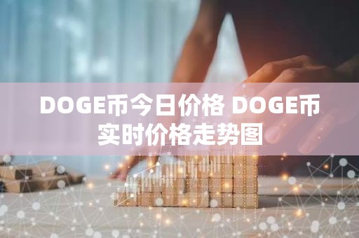 DOGE币今日价格 DOGE币实时价格走势图