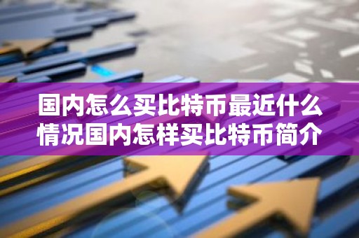 国内怎么买比特币最近什么情况国内怎样买比特币简介