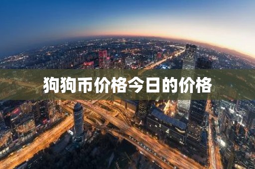 狗狗币价格今日的价格