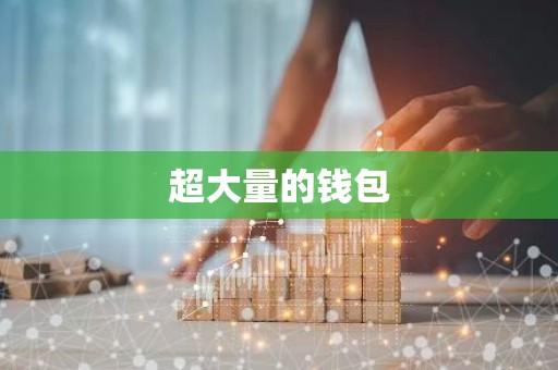 超大量的钱包