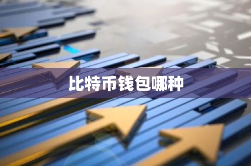 比特币钱包哪种