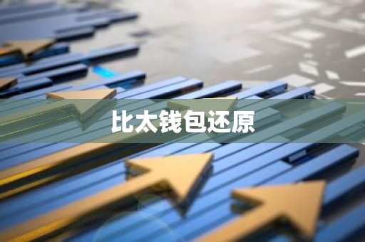 比太钱包还原