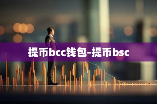 提币bcc钱包-提币bsc