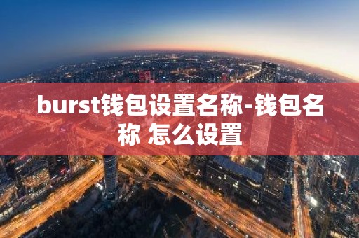 burst钱包设置名称-钱包名称 怎么设置