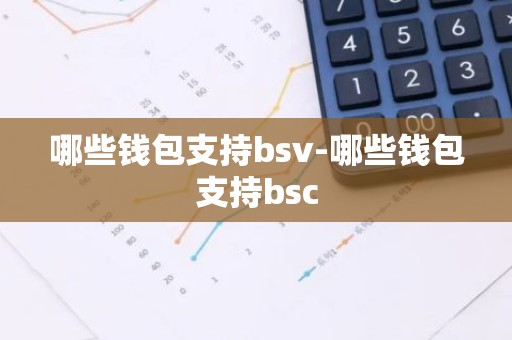 哪些钱包支持bsv-哪些钱包支持bsc