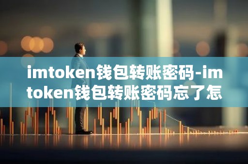 imtoken钱包转账密码-imtoken钱包转账密码忘了怎么办