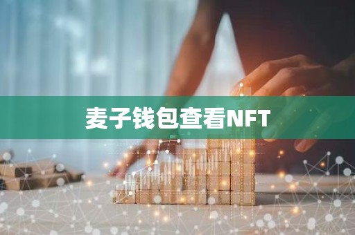 麦子钱包查看NFT