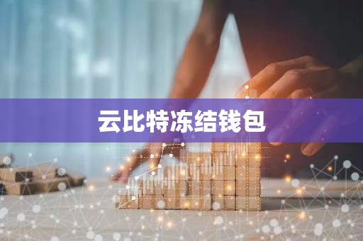 云比特冻结钱包