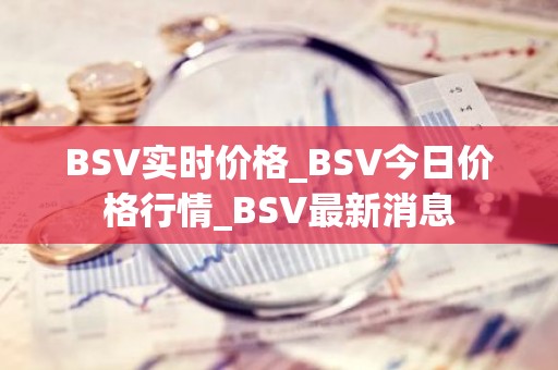 BSV实时价格_BSV今日价格行情_BSV最新消息