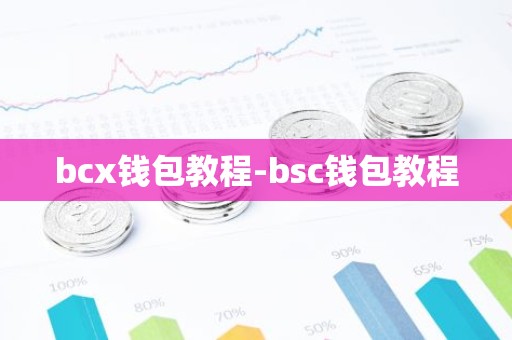 bcx钱包教程-bsc钱包教程