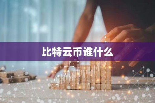 比特云币谁什么