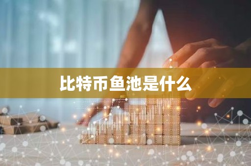 比特币鱼池是什么
