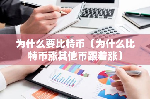 为什么要比特币（为什么比特币涨其他币跟着涨）