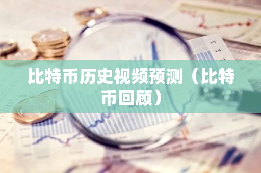 比特币历史视频预测（比特币回顾）