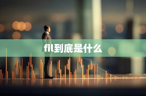 fil到底是什么