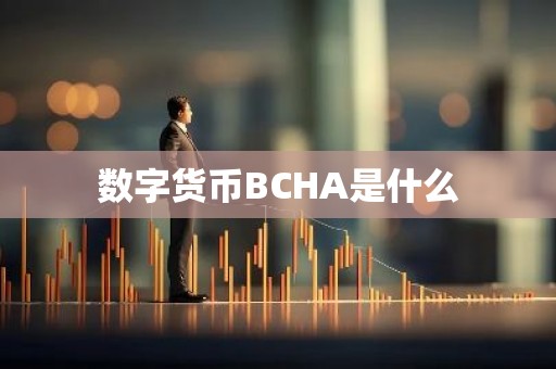 数字货币BCHA是什么