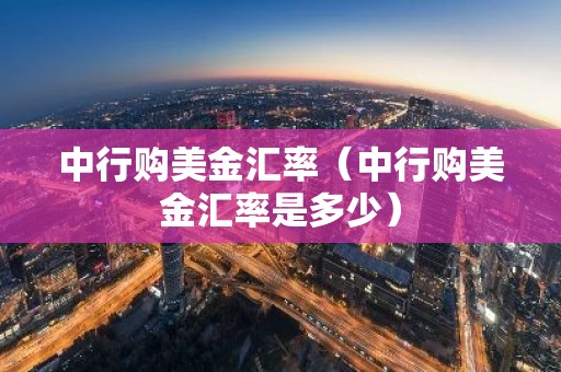 中行购美金汇率（中行购美金汇率是多少）
