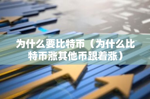 为什么要比特币（为什么比特币涨其他币跟着涨）