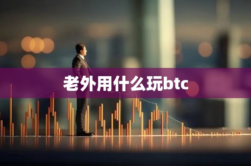 老外用什么玩btc