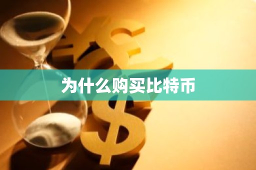 为什么购买比特币