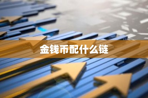 金钱币配什么链