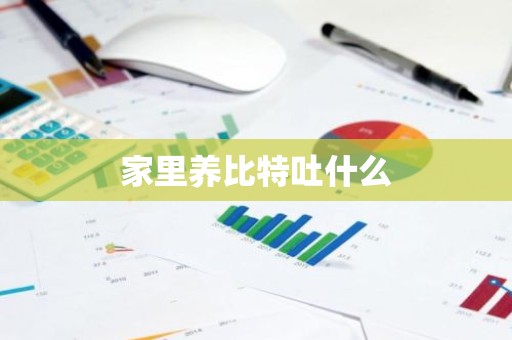 家里养比特吐什么