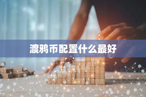 渡鸦币配置什么最好
