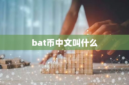 bat币中文叫什么